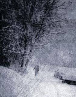 Sun Devoured Earth : I Wish I Would Never Wake Up